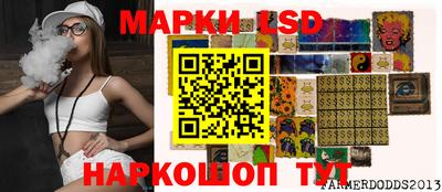 гидропоника Камышлов