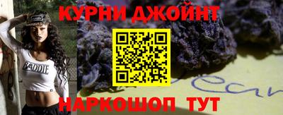 гидропоника Камышлов