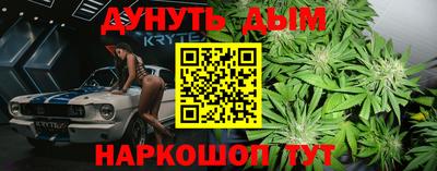гидропоника Камышлов