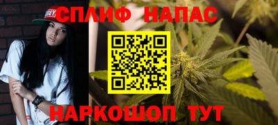 гидропоника Камышлов
